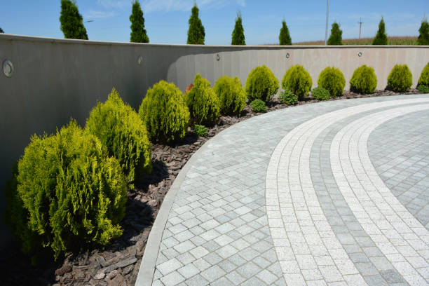 Best Custom Driveway Pavers  in Weimar, TX